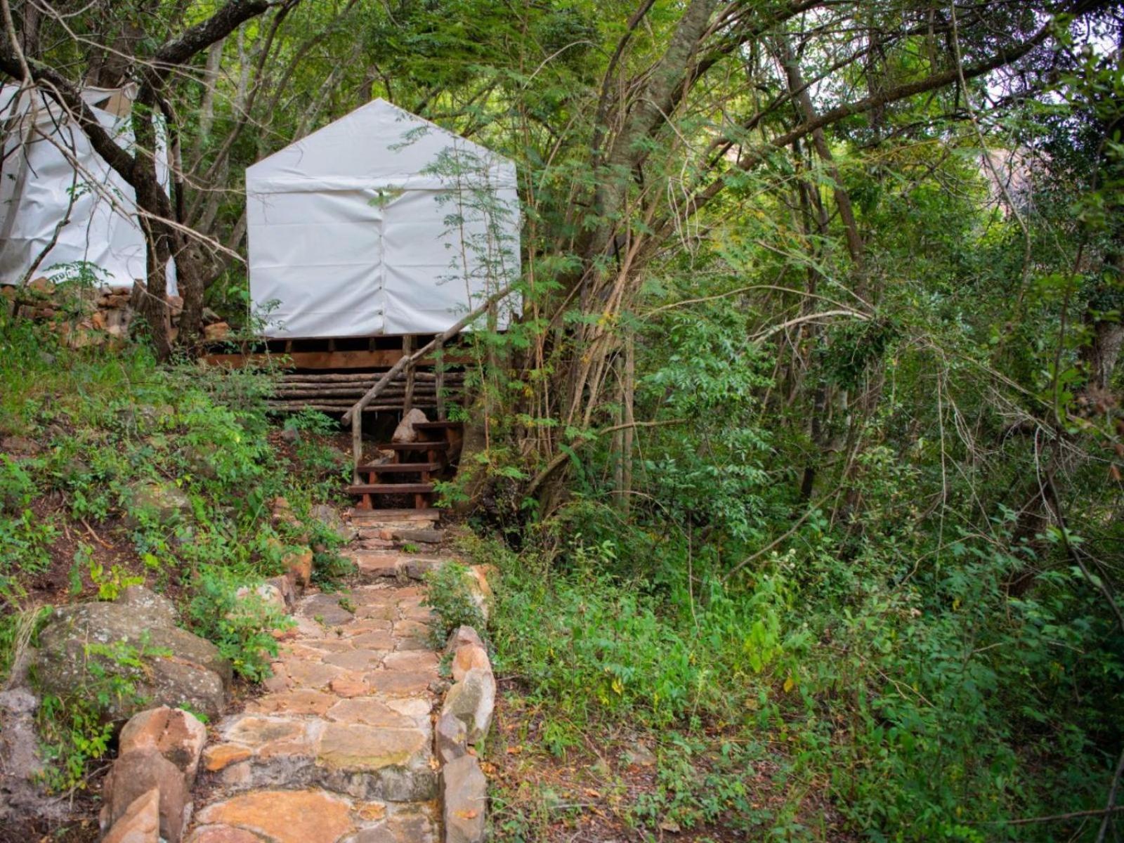Riverbed Africa Lydenburg Exterior photo