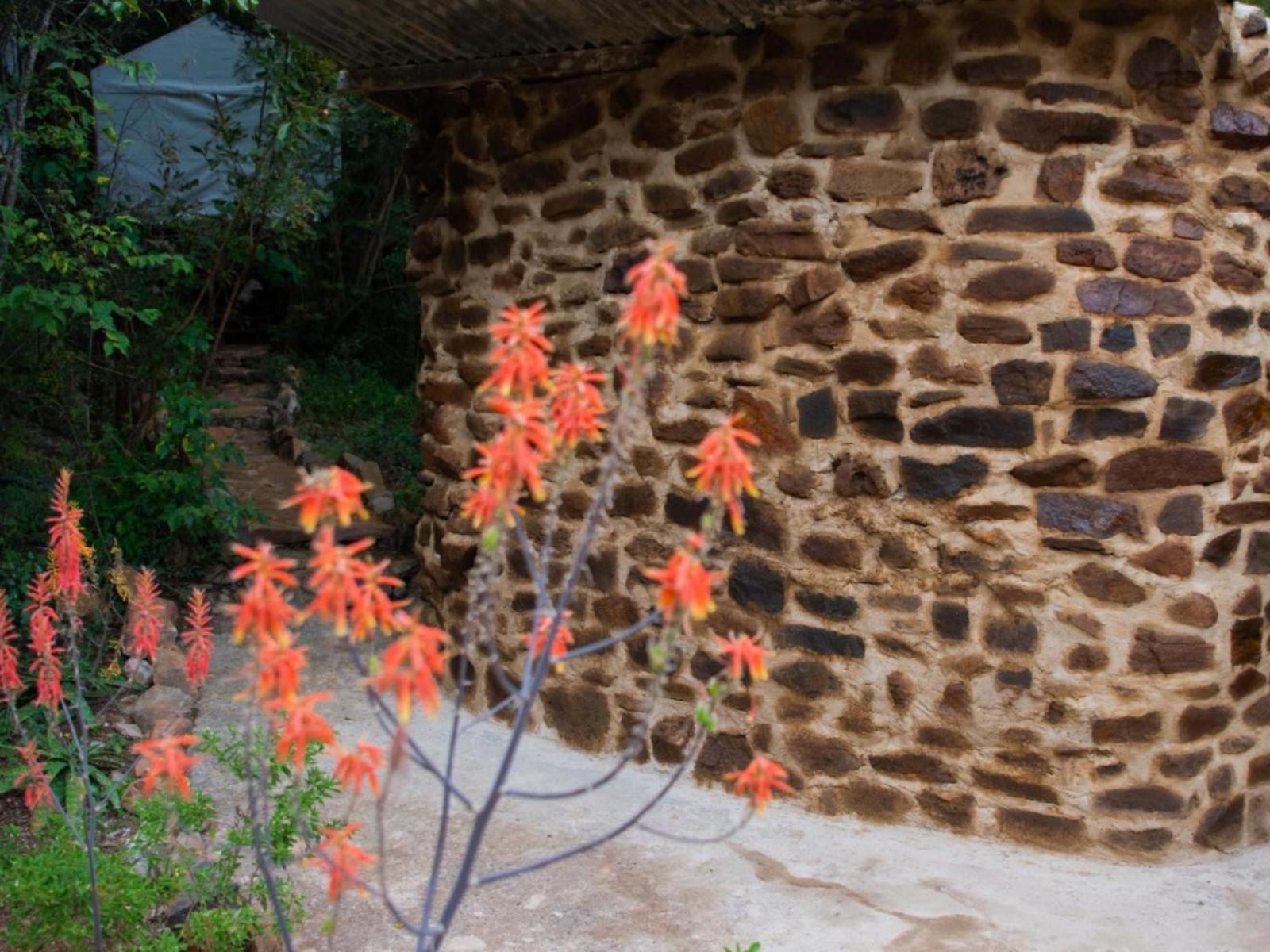 Riverbed Africa Lydenburg Exterior photo